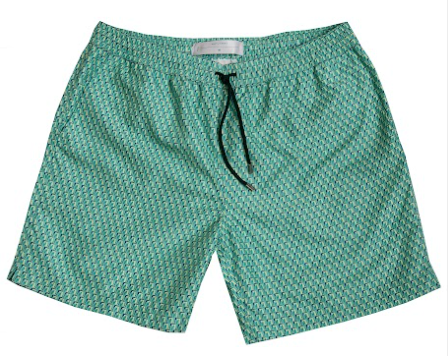 Skyblue Pattern Swim Shorts